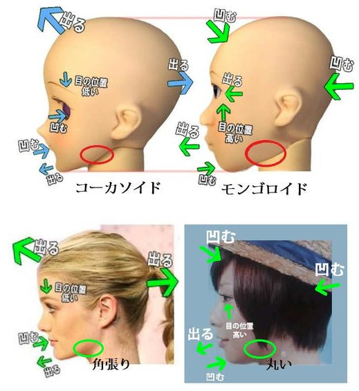 頭の形と髪型について